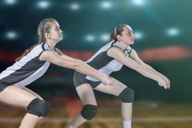 Kadın profesyonel voleybolcu Voleybol sahası