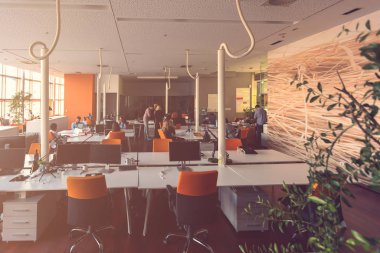 Girişimci iş adamları modern ofiste her gün çalışıyorlar.