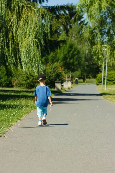 小さな男の子は明るい日当たりの良い夏の日の公園で歩く ストック画像