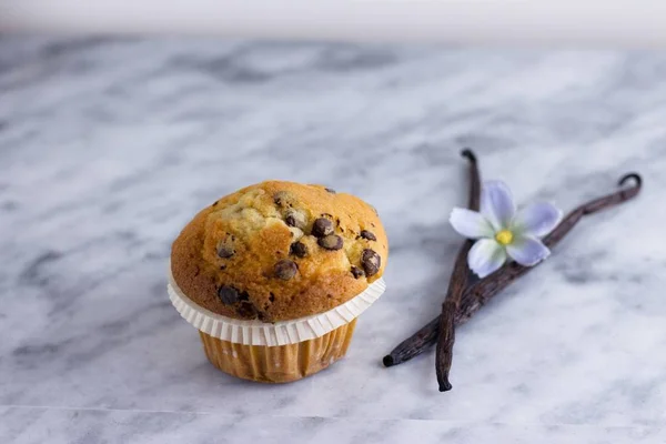Vanilkový muffin s vanilkových lusků na mramor povrch — Stock fotografie