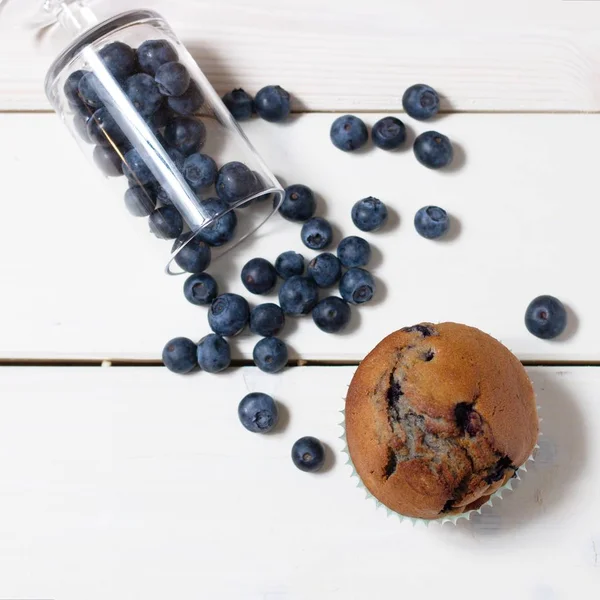 Borůvkový muffin — Stock fotografie