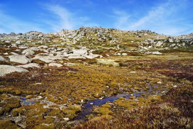 Görüntü: Kosciuszko Dağı, Avustralya 