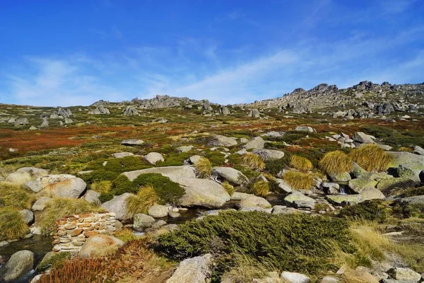 Avustralya Daki Kosciuszko Dağı Yolunda — Stok fotoğraf