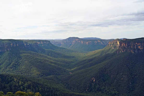 Une Journée Aux Blue Mountains Australie — Photo