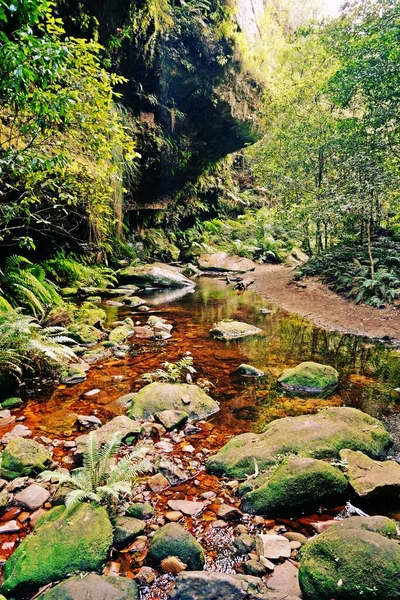 Une Journée Aux Blue Mountains Australie — Photo