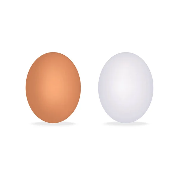 Ρεαλιστική κοτόπουλο αυγά που απομονώνονται σε λευκό φόντο με τη σκιά. Εικονογράφηση διάνυσμα. — Διανυσματικό Αρχείο