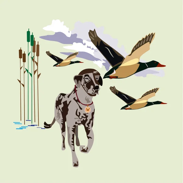 Jacht hond concept vectorillustratie in vlakke stijl — Stockvector