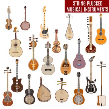 Vector set of string plucked musical instruments isolated on white background