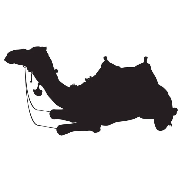 Arabian wielbłąd dromedary sylwetka wektor izolowane ilustracja — Wektor stockowy