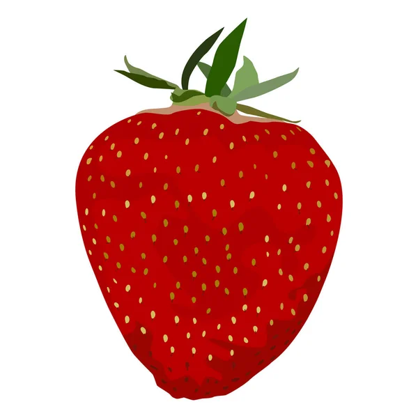Reife frische Erdbeere, Vektorflache isolierte Abbildung — Stockvektor