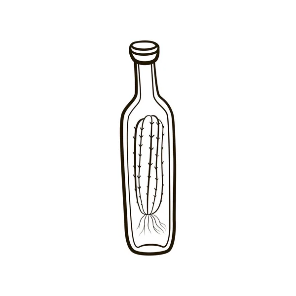 El ile kaktüsler içinde kontur şişe çizimi. Beyaz arka plan üzerinde Retro vintage illüstrasyon — Stok Vektör