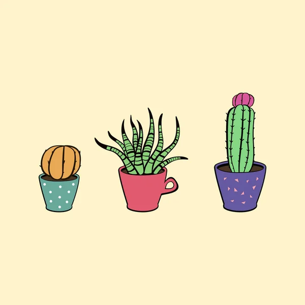 Cactus Dans Pot Fleur Succulente Dans Tasse Jolie Collection Plantes — Image vectorielle