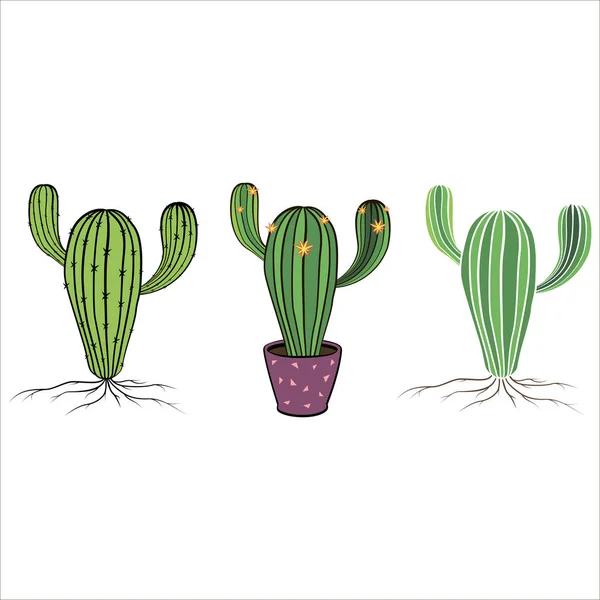 Set Fleurs Cactus Cactus Dessinés Main Collection Plantes Maison Illustrations — Image vectorielle