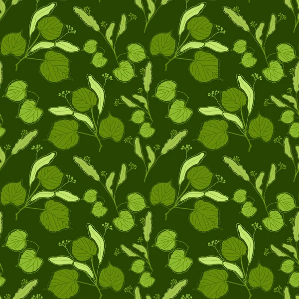 Vzor bezešvé s větvemi, listy a květy lípy na tmavém pozadí zelené — Stockový vektor