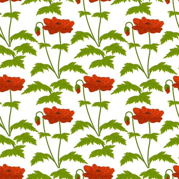 赤いケシの花と緑の葉. — ストックベクタ
