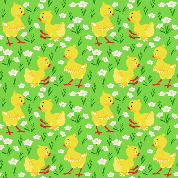 Motif avec poulet et marguerites jaunes — Image vectorielle