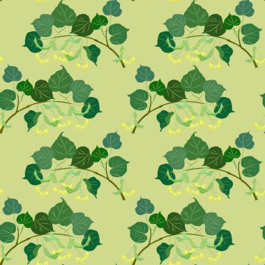 çiçek açması linden Şubesi