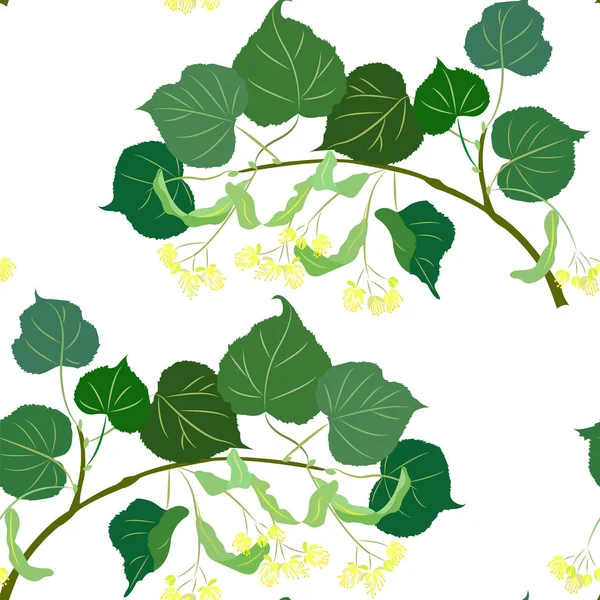 Blossoming linden branch — Διανυσματικό Αρχείο
