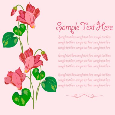 Siklamen çiçeklerle süslenmiş kartı