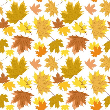 Sonbahar akçaağaç yaprakları