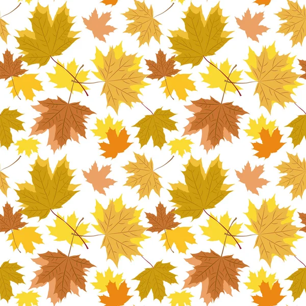 Sonbahar akçaağaç yaprakları