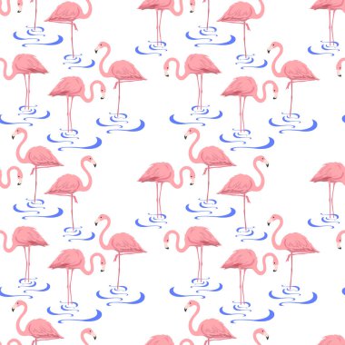  Pembe Flamingo Suda Duruyor