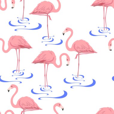  Suda pembe flamingo