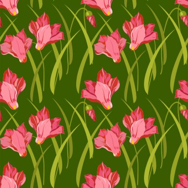 desen egzotik saksı Siklamen çiçeği ile