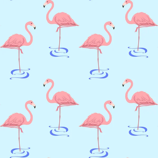 Flamingo ve vodě — Stockový vektor