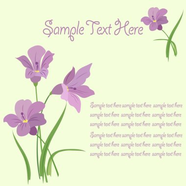  Kart Frezya buket ile dekore edilmiştir.