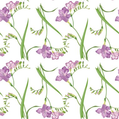 Bahar çiçek Frezya fışkın