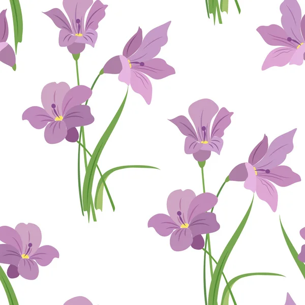 与春天的花朵，小苍兰的模式 — 图库矢量图片