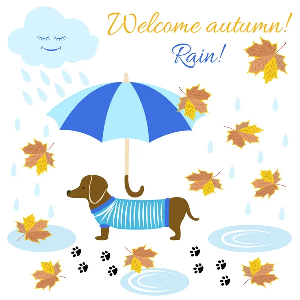 Carta con cane bassotto sotto l'ombrello — Vettoriale Stock