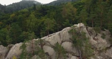 Hava güzel manzara orman ve cliff ile vurdu