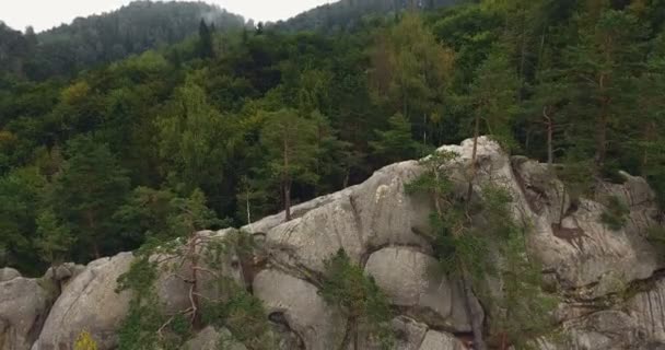 Plano aéreo hermoso paisaje con bosque y acantilado — Vídeos de Stock