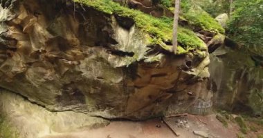 Hava güzel manzara orman ve cliff ile vurdu