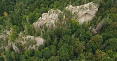 Hava güzel manzara orman ve cliff ile vurdu