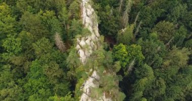 Hava güzel manzara orman ve cliff ile vurdu