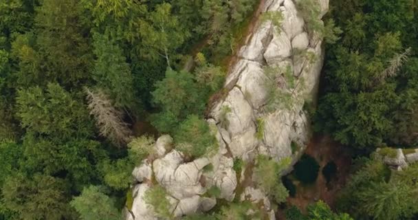 Plano aéreo hermoso paisaje con bosque y acantilado — Vídeos de Stock