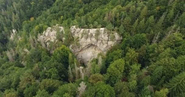 Aerial shot beautiful landscape with forest and cliff — Stock Video