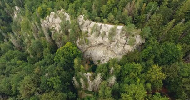 Fotografia aérea bela paisagem com floresta e penhasco — Vídeo de Stock