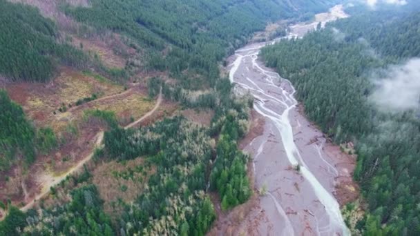 Bosques de montaña planos aéreos — Vídeos de Stock