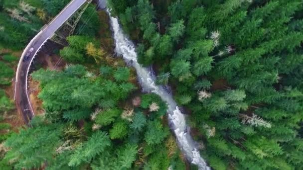 Aerial strzał górskich lasów — Wideo stockowe