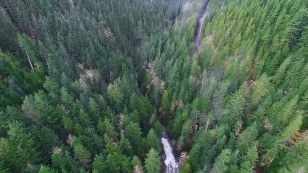 Aerial shot mountain forests — Stock Video