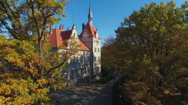 Aerial strzał palace — Wideo stockowe