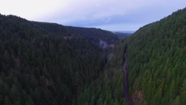 Bosques de montaña planos aéreos — Vídeos de Stock