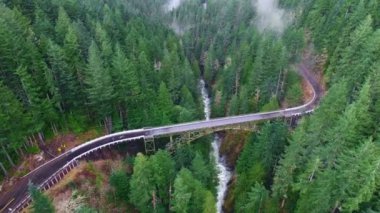 Hava atış dağ ormanları