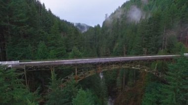 Hava atış dağ ormanları