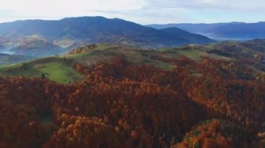 Hava atış dağ orman