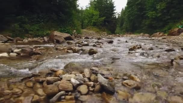 Выстрел горный лес с рекой — стоковое видео